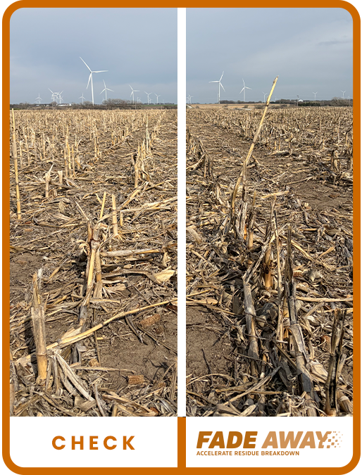 NE Kansas Trial