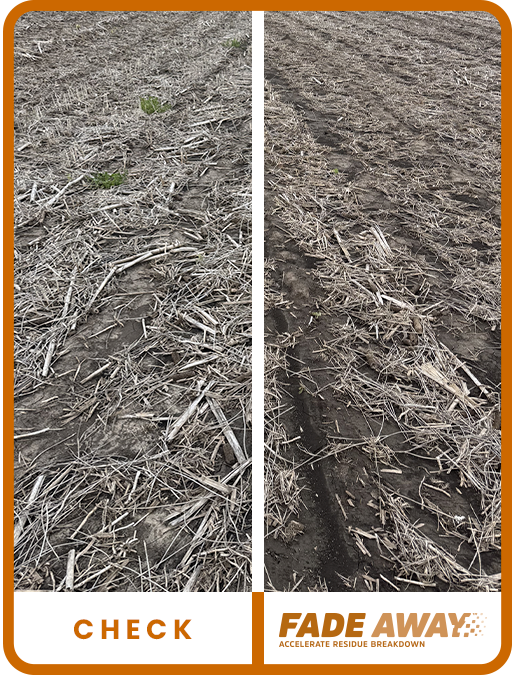 NW Missouri Soybean