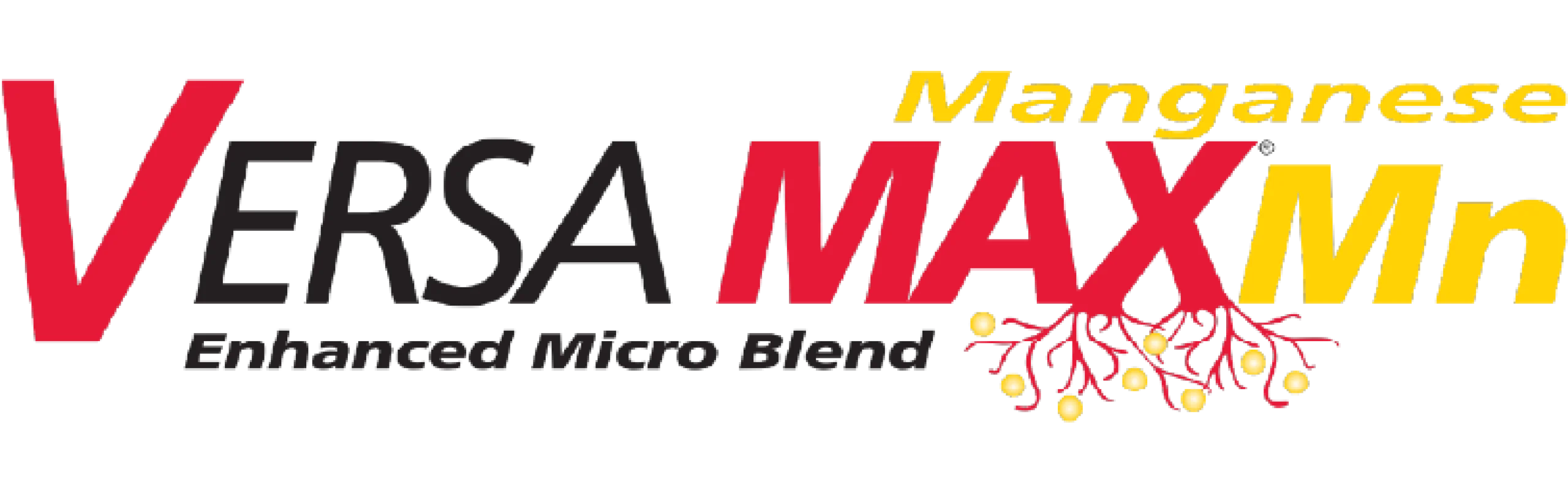 VersaMax-MN-Logo-753x230
