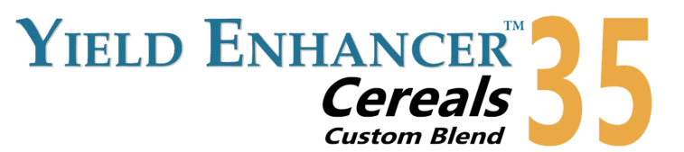 YEC 35 logo