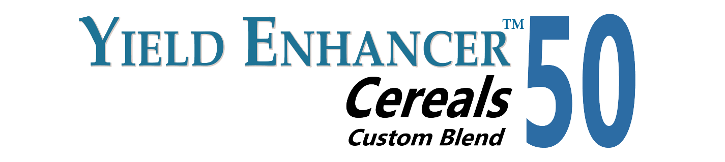 YEC 50 logo