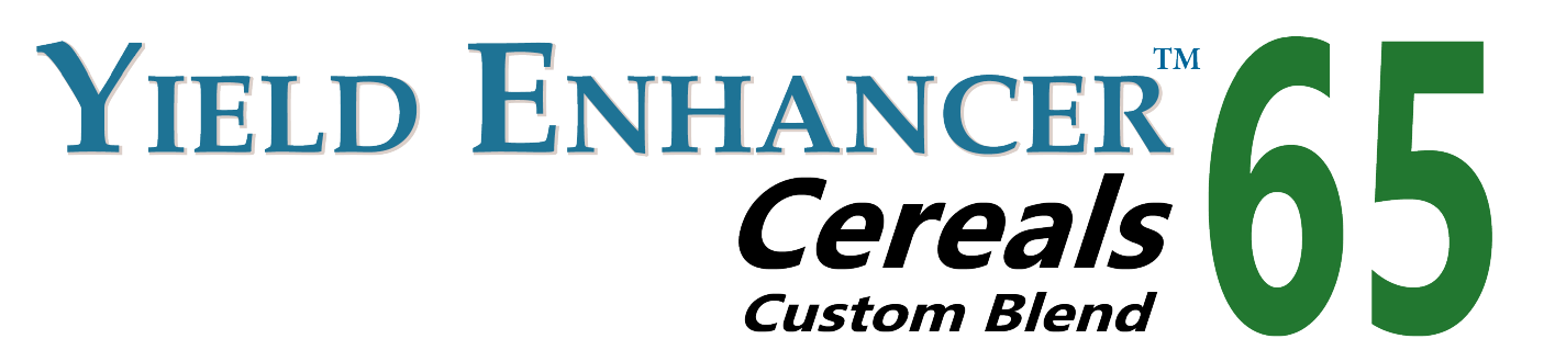 YEC 65 logo