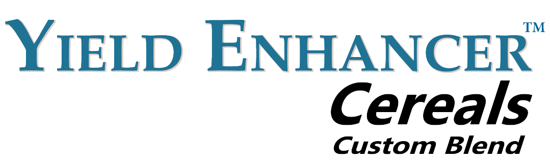 YEC logo