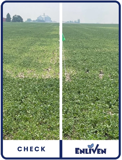 enliven-soybeans-illinois-trial-details-1