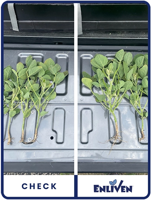 enliven-soybeans-illinois-trial-details-2