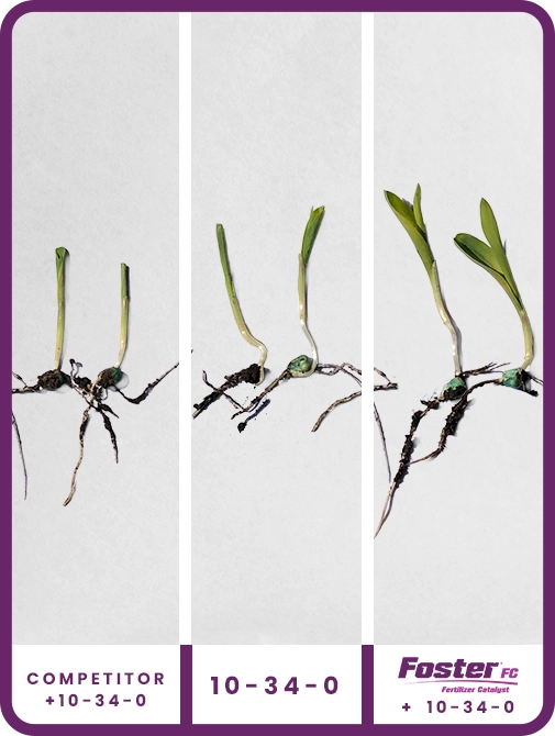 foster-fc-corn-eastrn-nebraska-trial-details