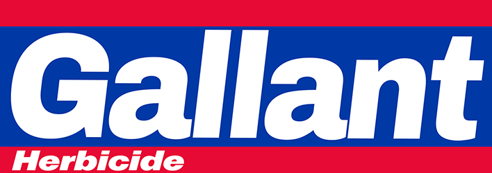 gallant-product-logo