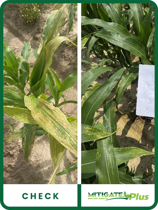 mitigate-plus-corn-missouri-trial-details
