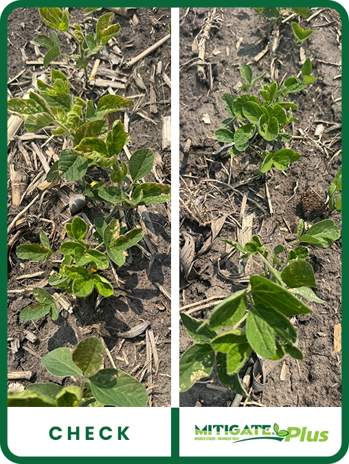 mitigate-plus-soybean-north-central-illinois-trial-details