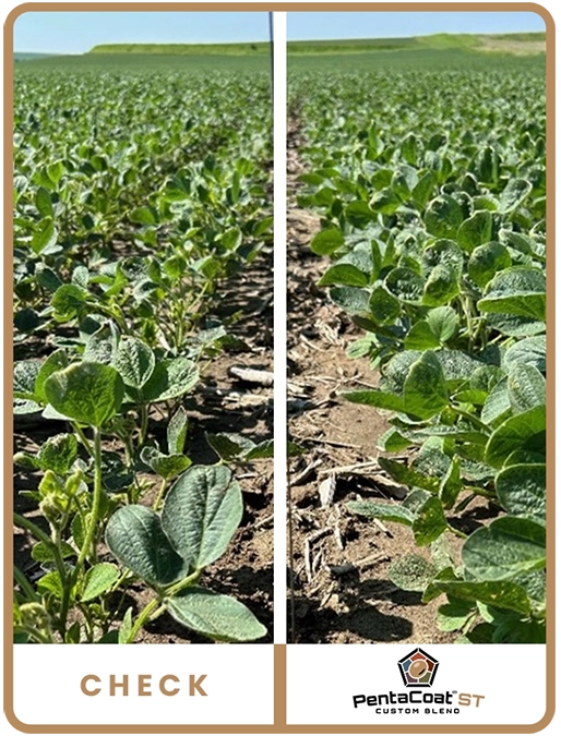 pentacoat-soybean-west-central-iowa-trial-details-1.2