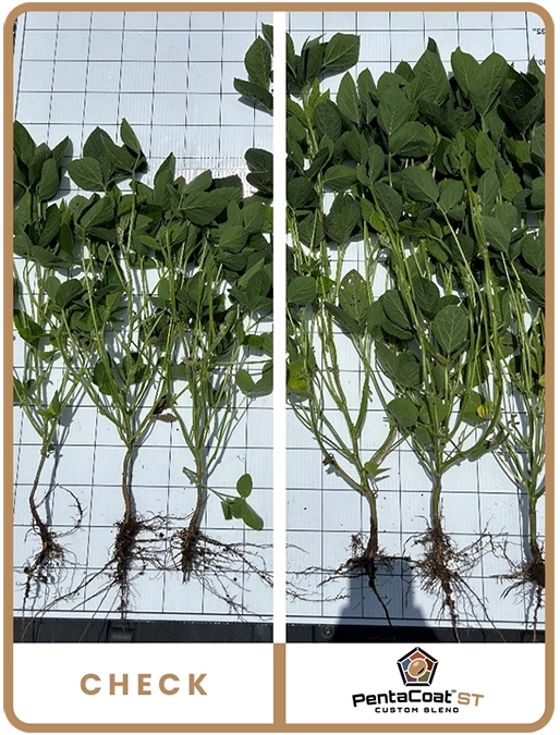 pentacoat-soybean-west-central-iowa-trial-details-2.1