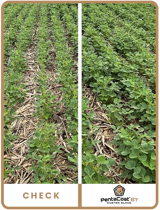 pentacoat-soybean-west-central-iowa-trial-details-2.2