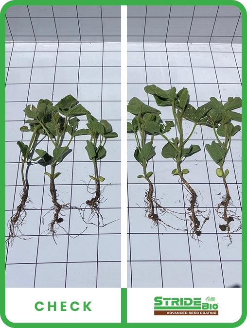 stride-bio-soybeans-central-iowa-trial-details
